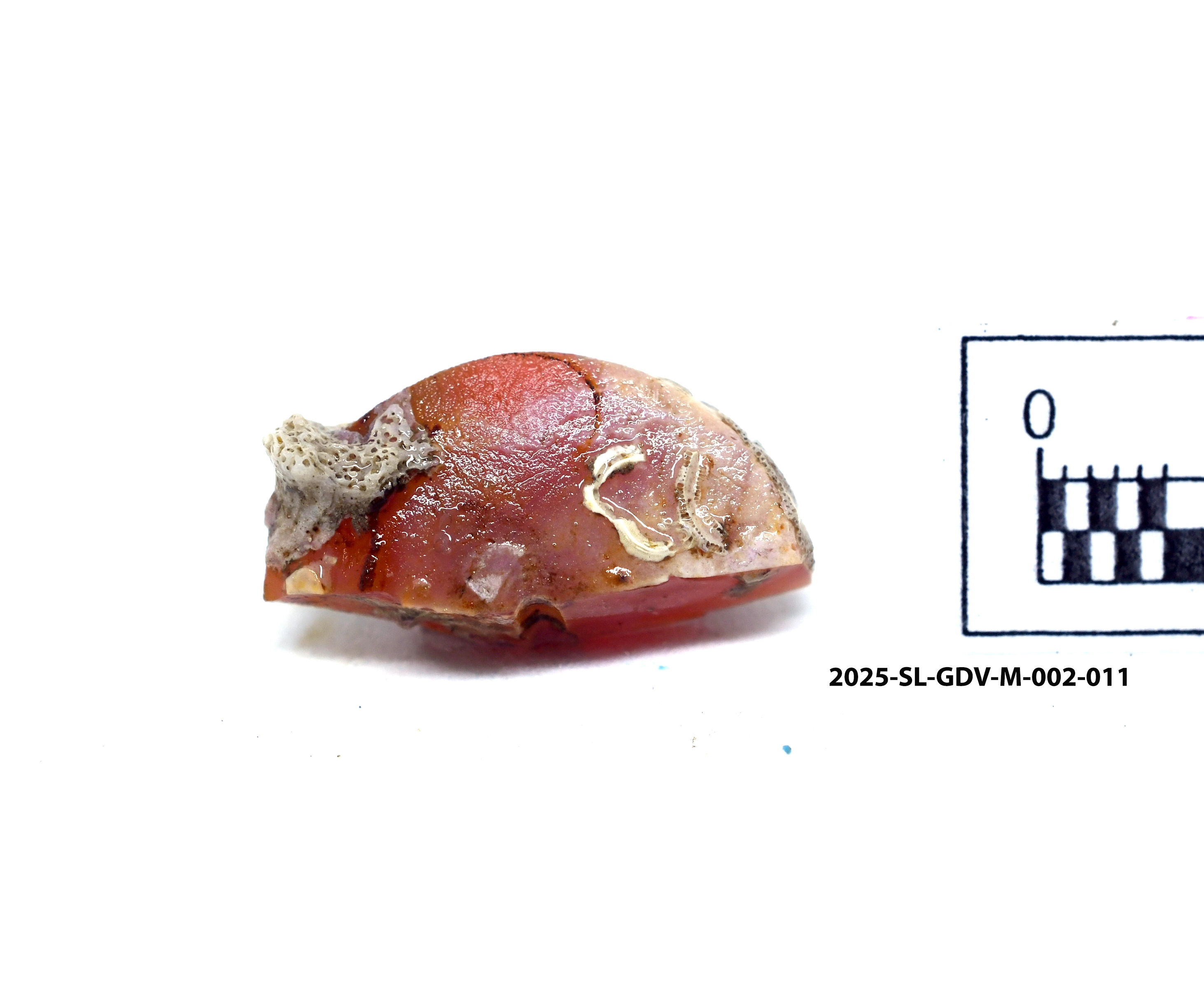 Piece of Bead — image 2