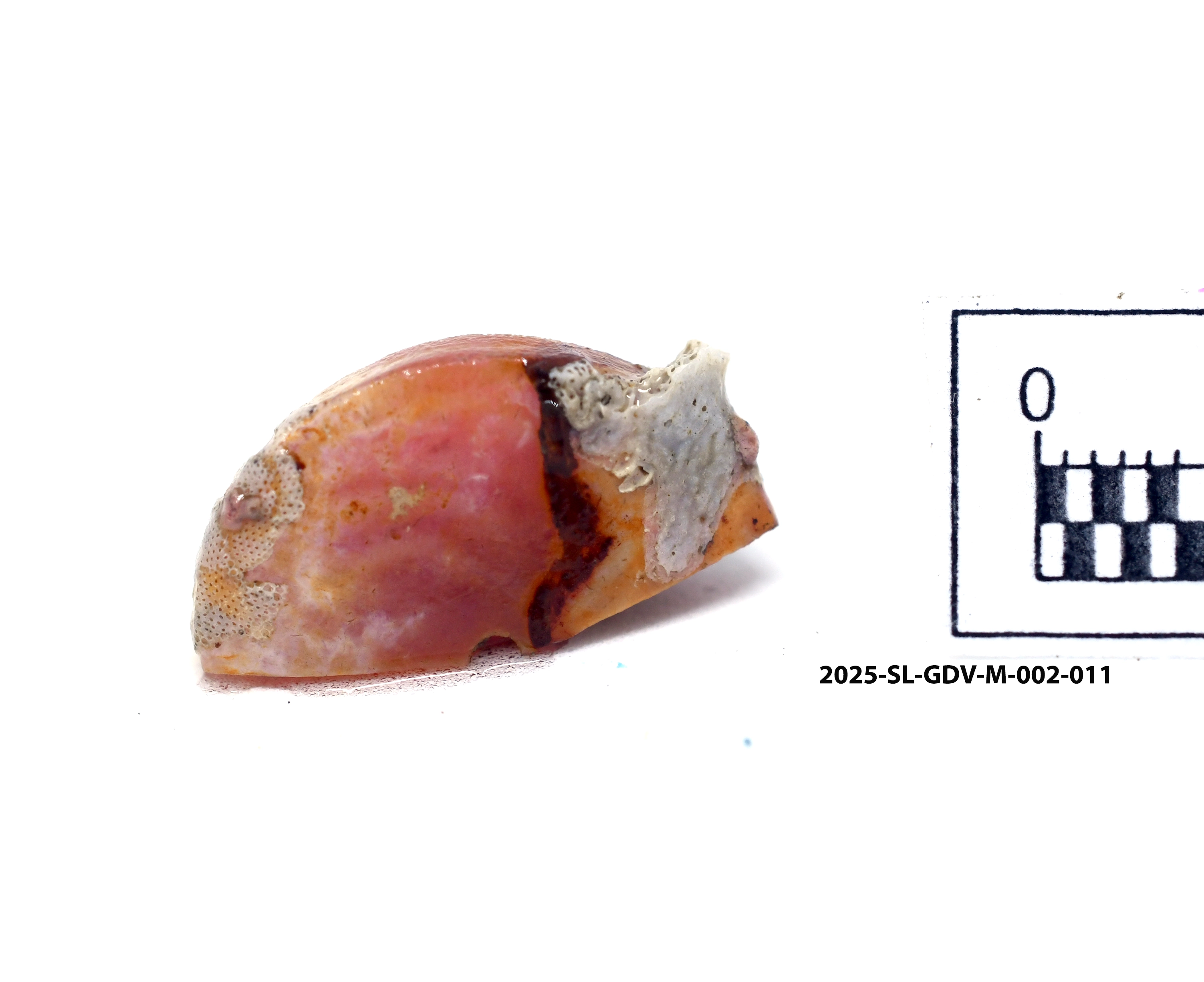 Piece of Bead — Maritime Archaeology Museum
