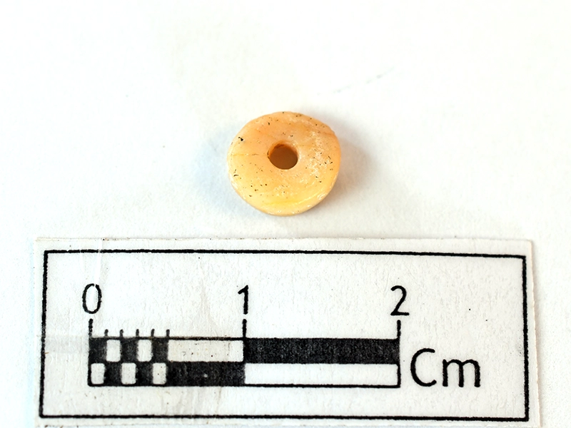 Coral Bead — Maritime Archaeology Museum