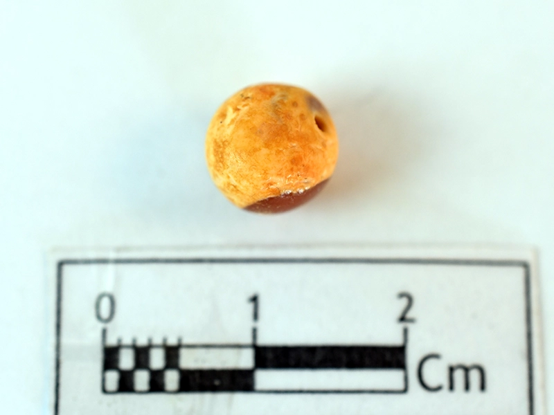 Carnelian Bead — Maritime Archaeology Museum